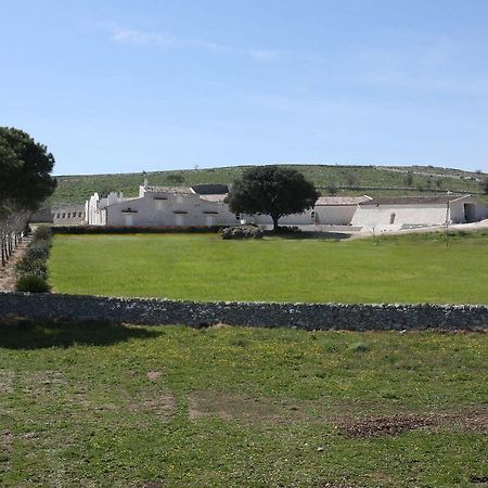 Masseria Torre Di Nebbia Castel Del Monte  Bagian luar foto