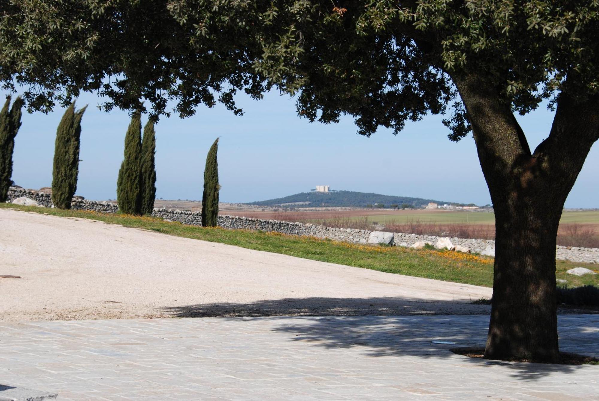 Masseria Torre Di Nebbia Castel Del Monte  Bagian luar foto